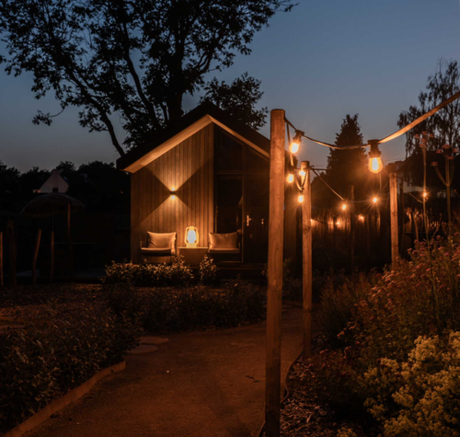 «Tiny House»
