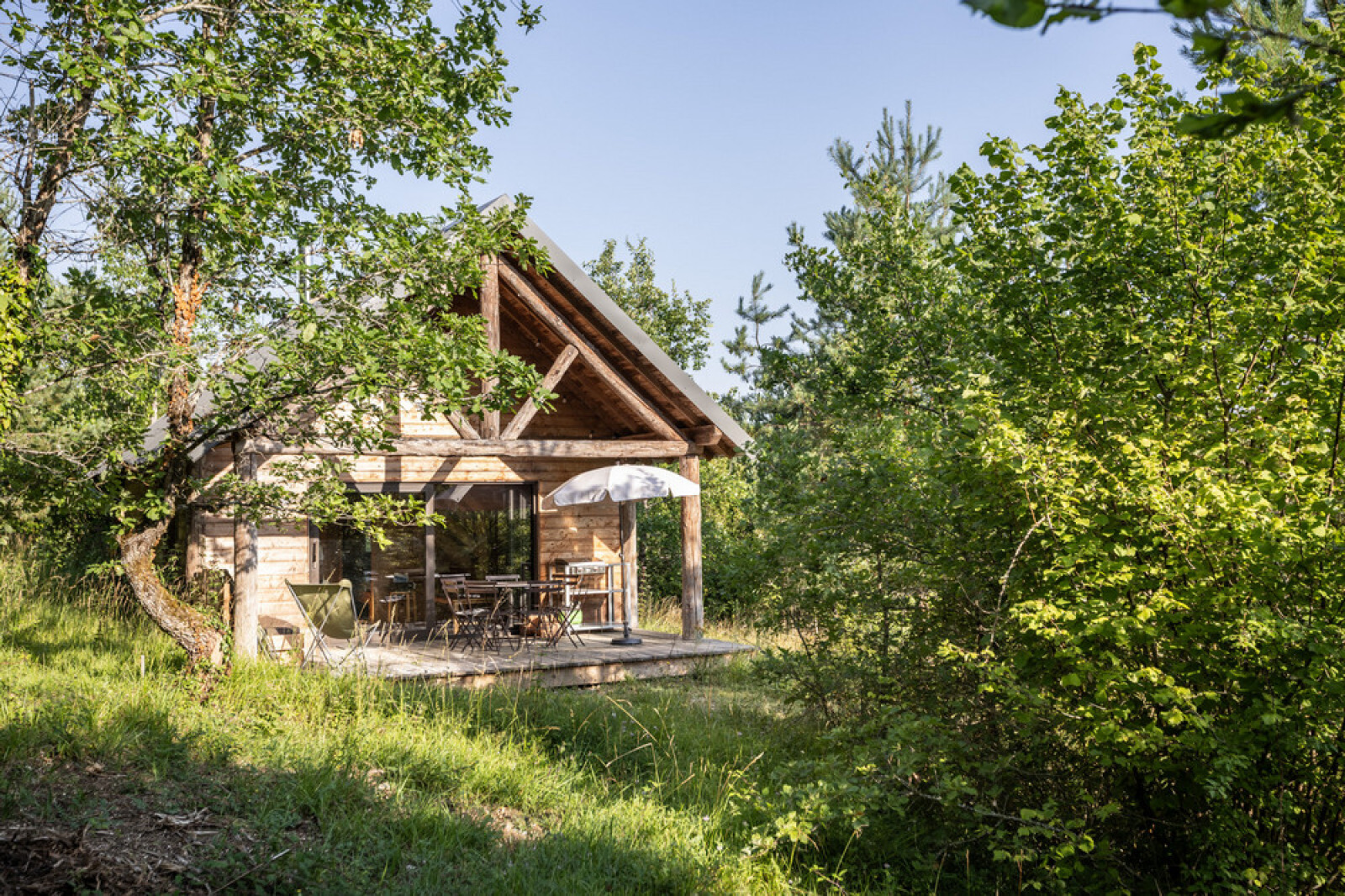 Cabane Plus cover
