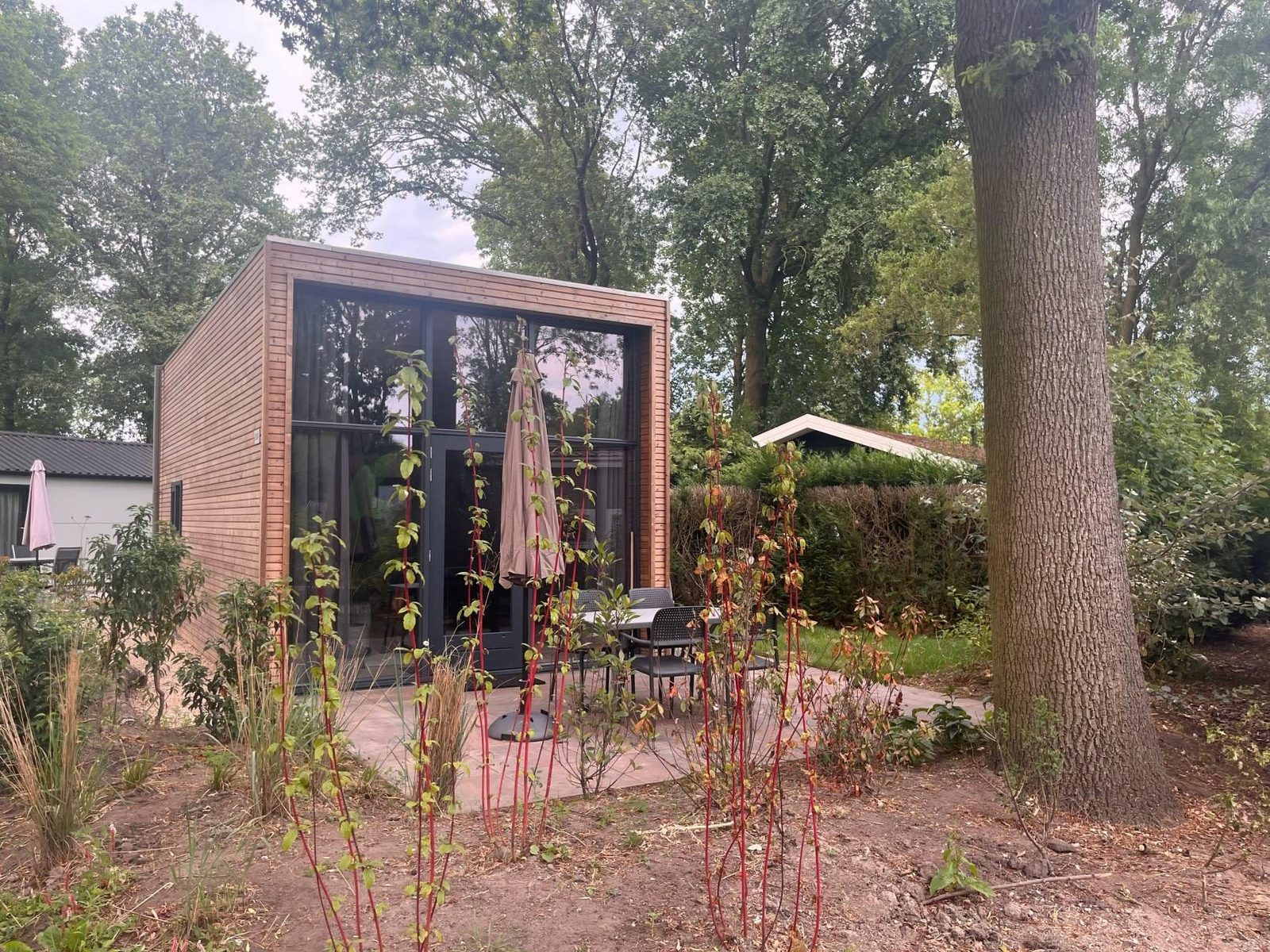 «Tiny House 2»