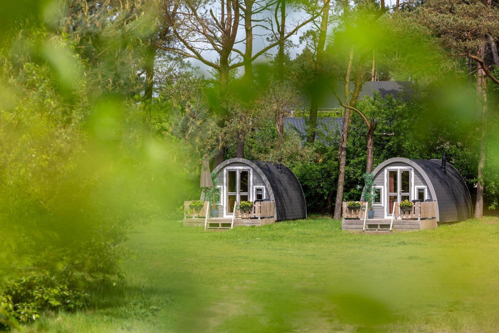 «Woodlodge»