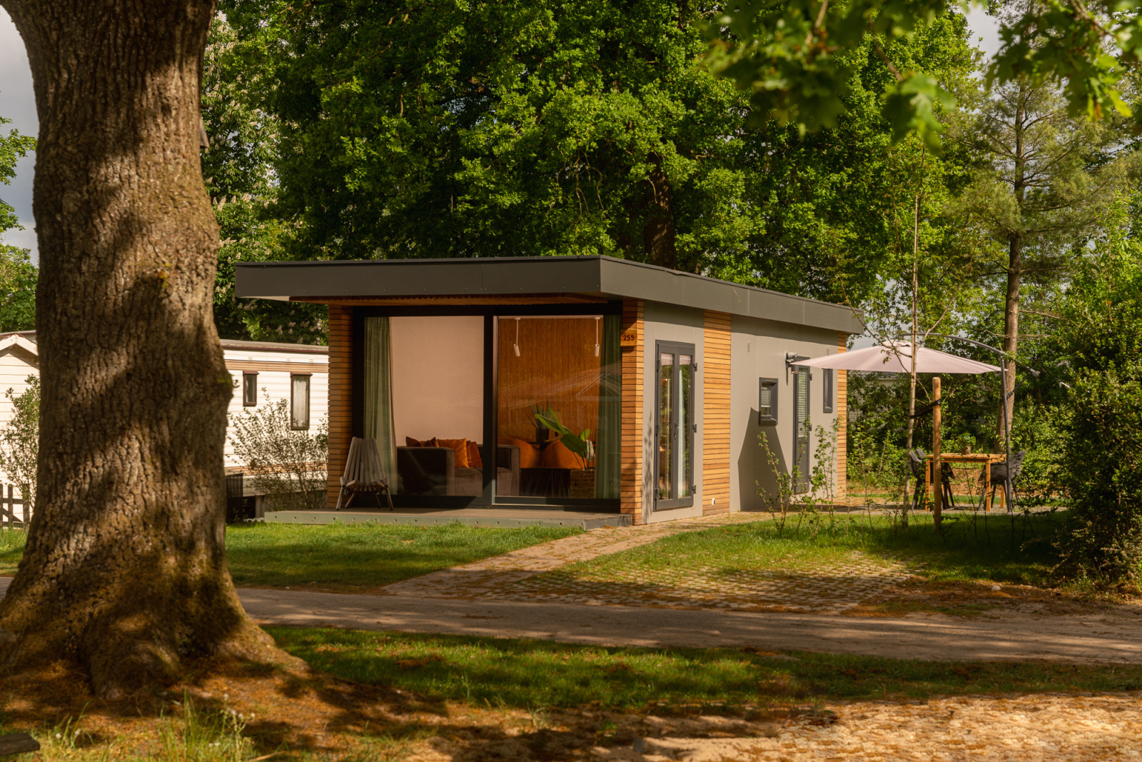 «Tiny Cabin»