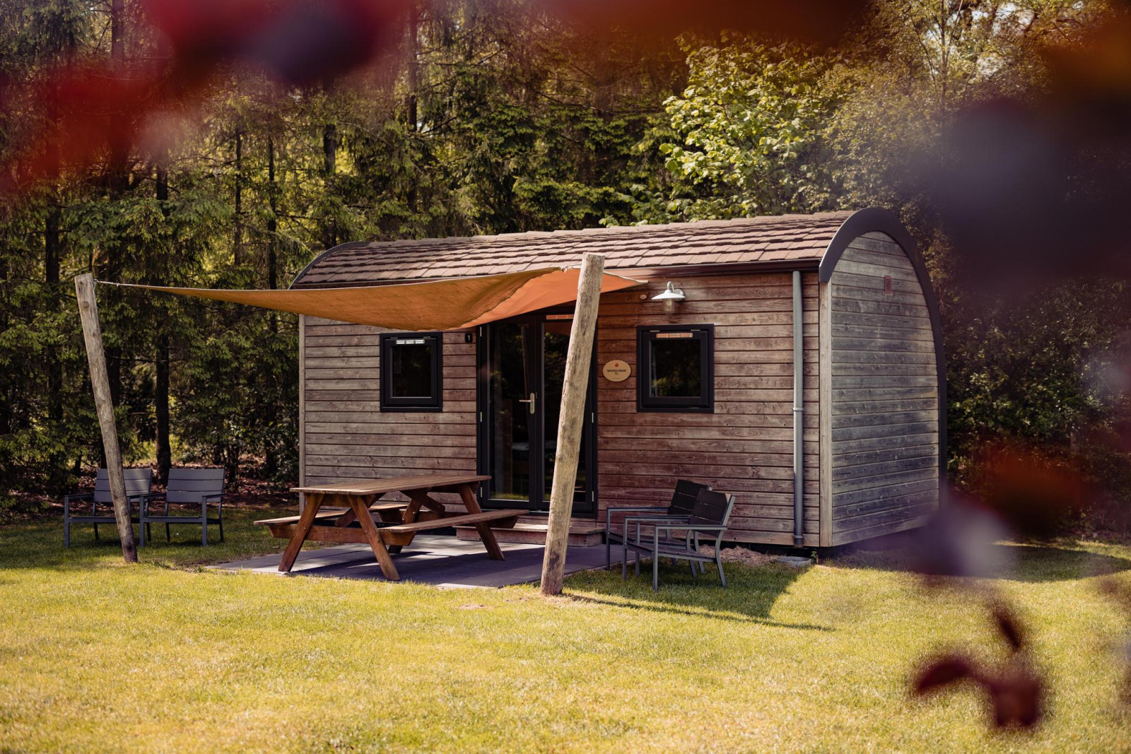 «Woodlodge» cover