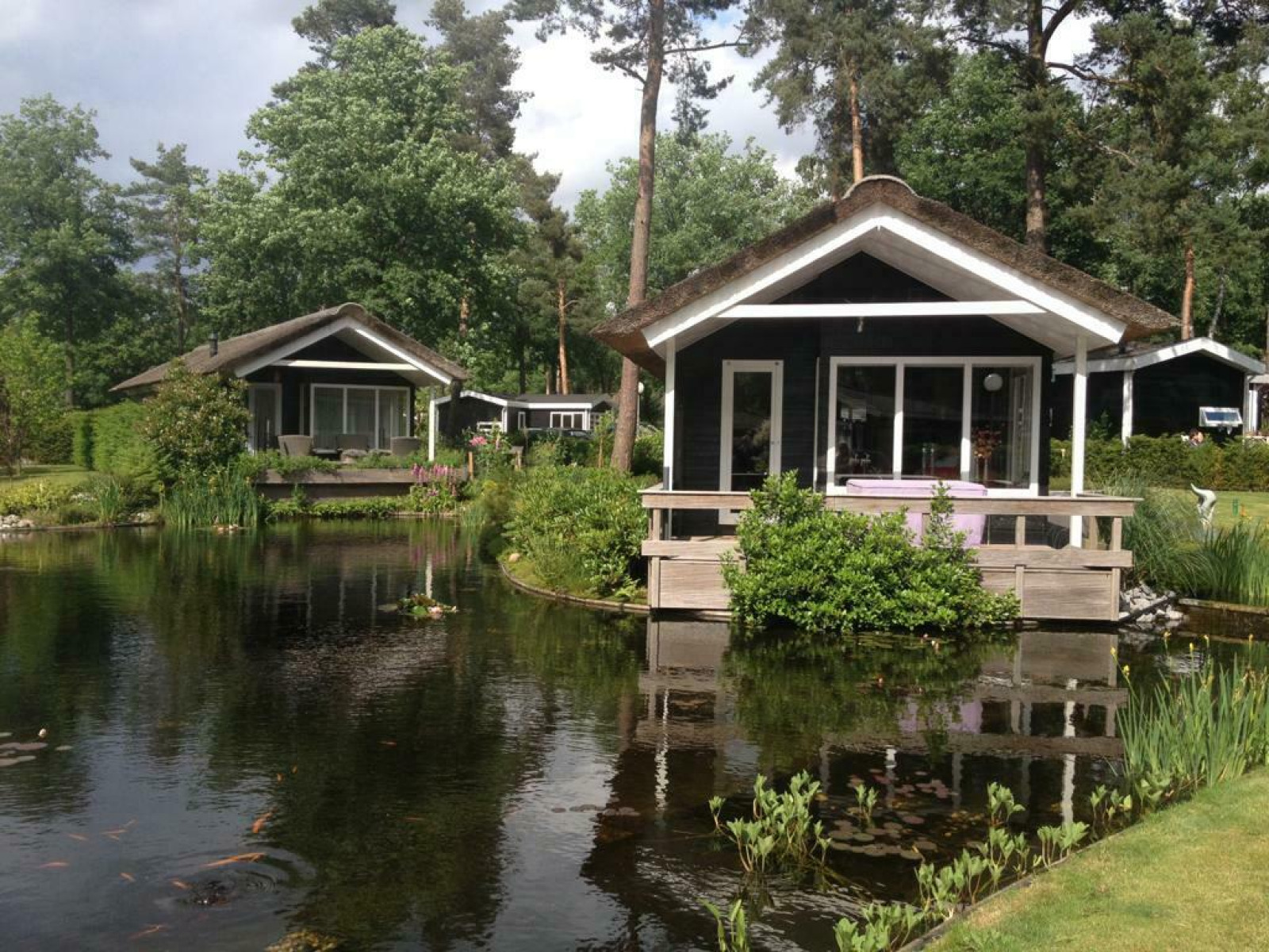 «Lodge Meerkoet»