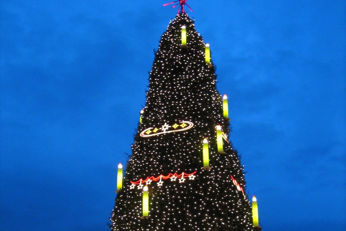 De kerstboom van 45 meter op de Hansaplatz
